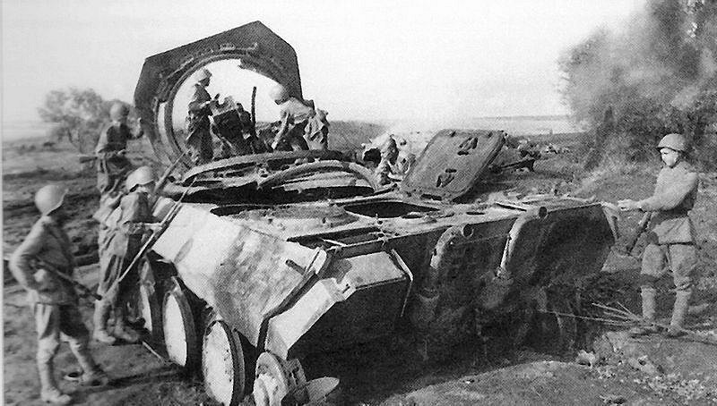 Khaki Panther - zdjęcie w treści artykułu