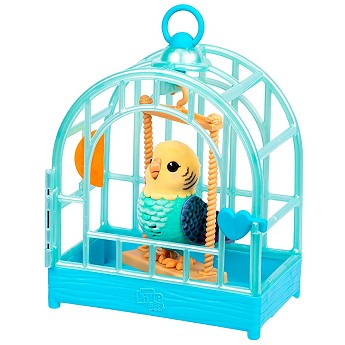 26683-26691-llp-mrr-s2-bird-cage-indie-o08-rgb-72.jpg